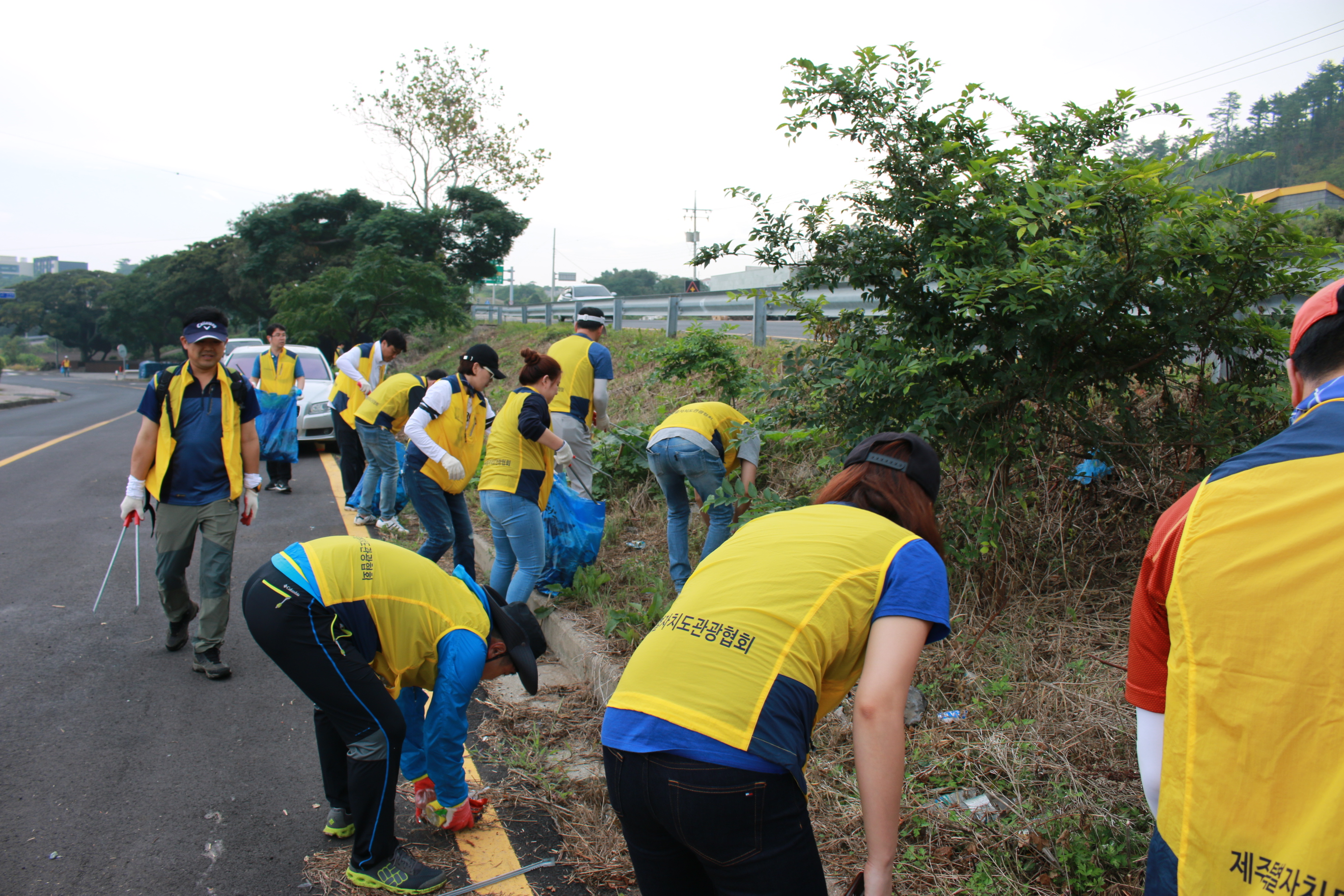 올레길 환경정화 사진 1.jpg