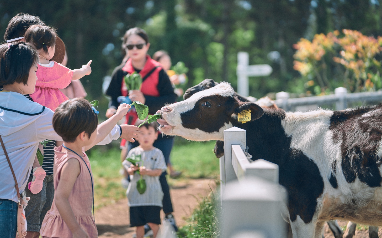 팜팜버스 사진자료1 (3).jpg