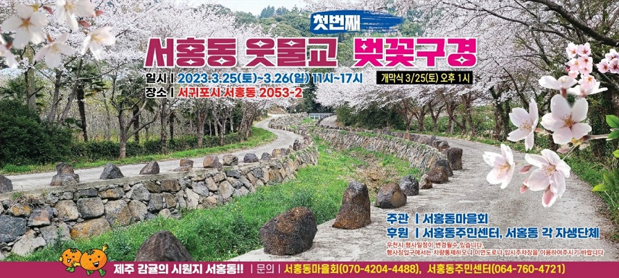 사본 -2023 서홍동 웃물교 벚꽃구경.jpg