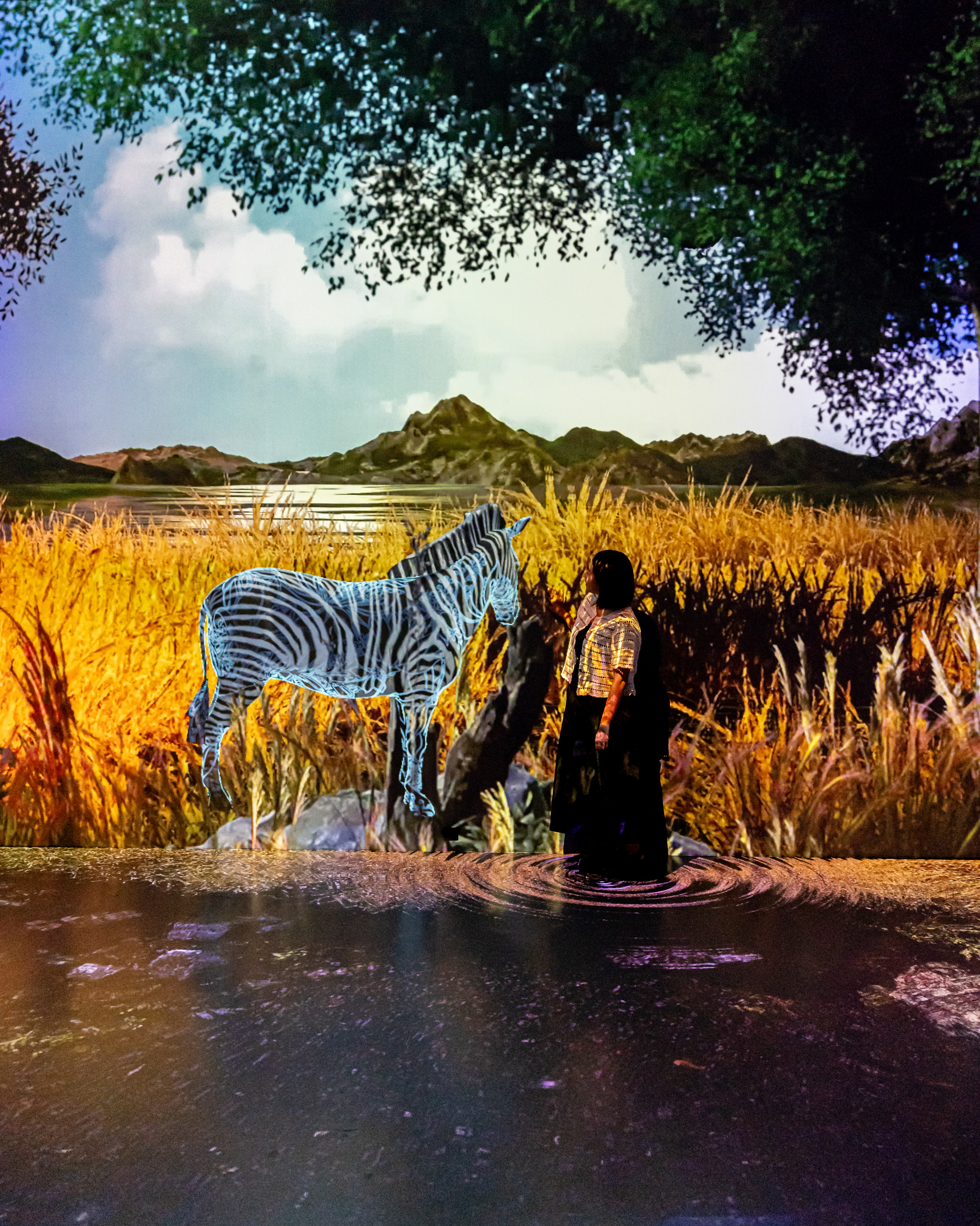 원더아일랜드 2