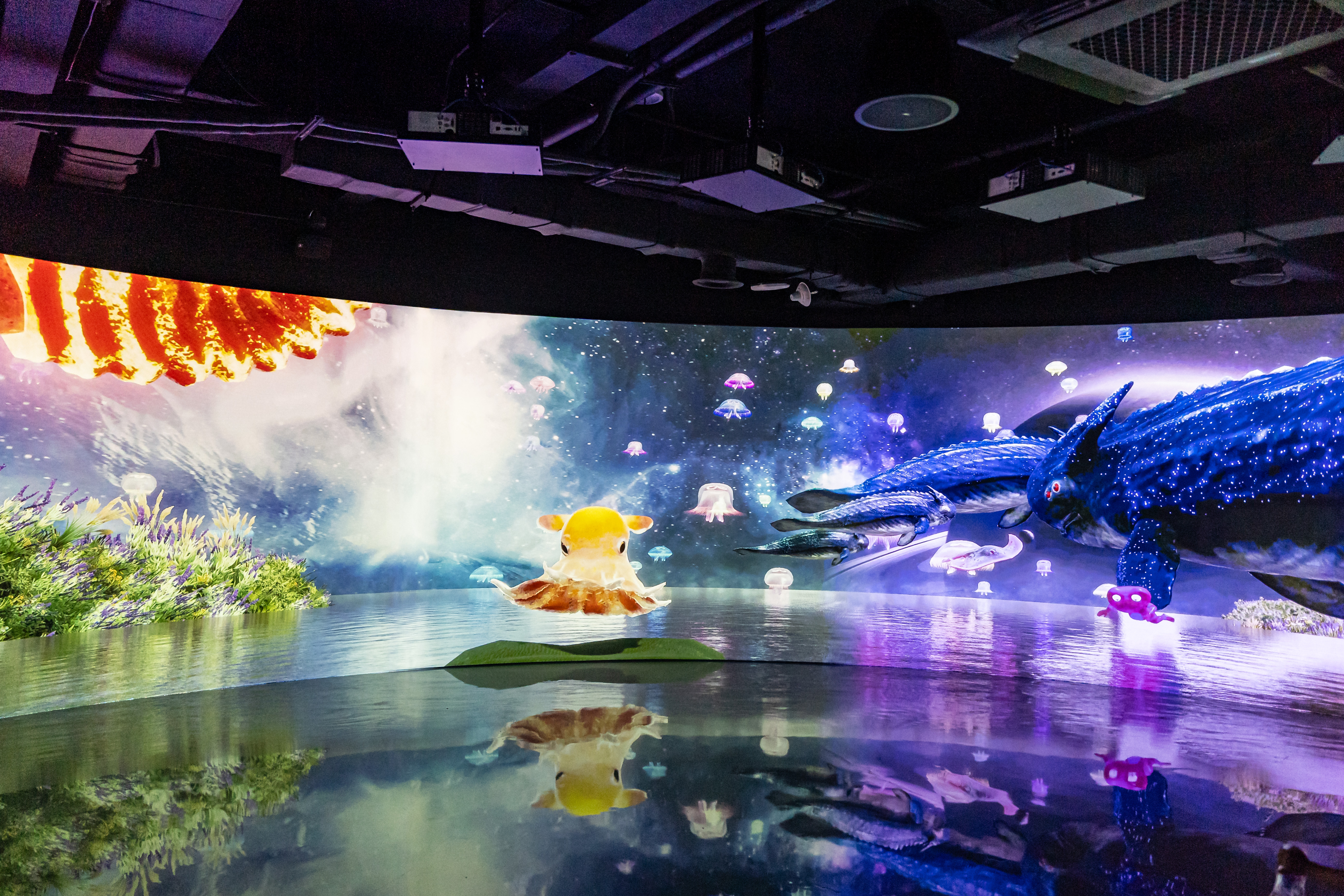 원더아일랜드 7