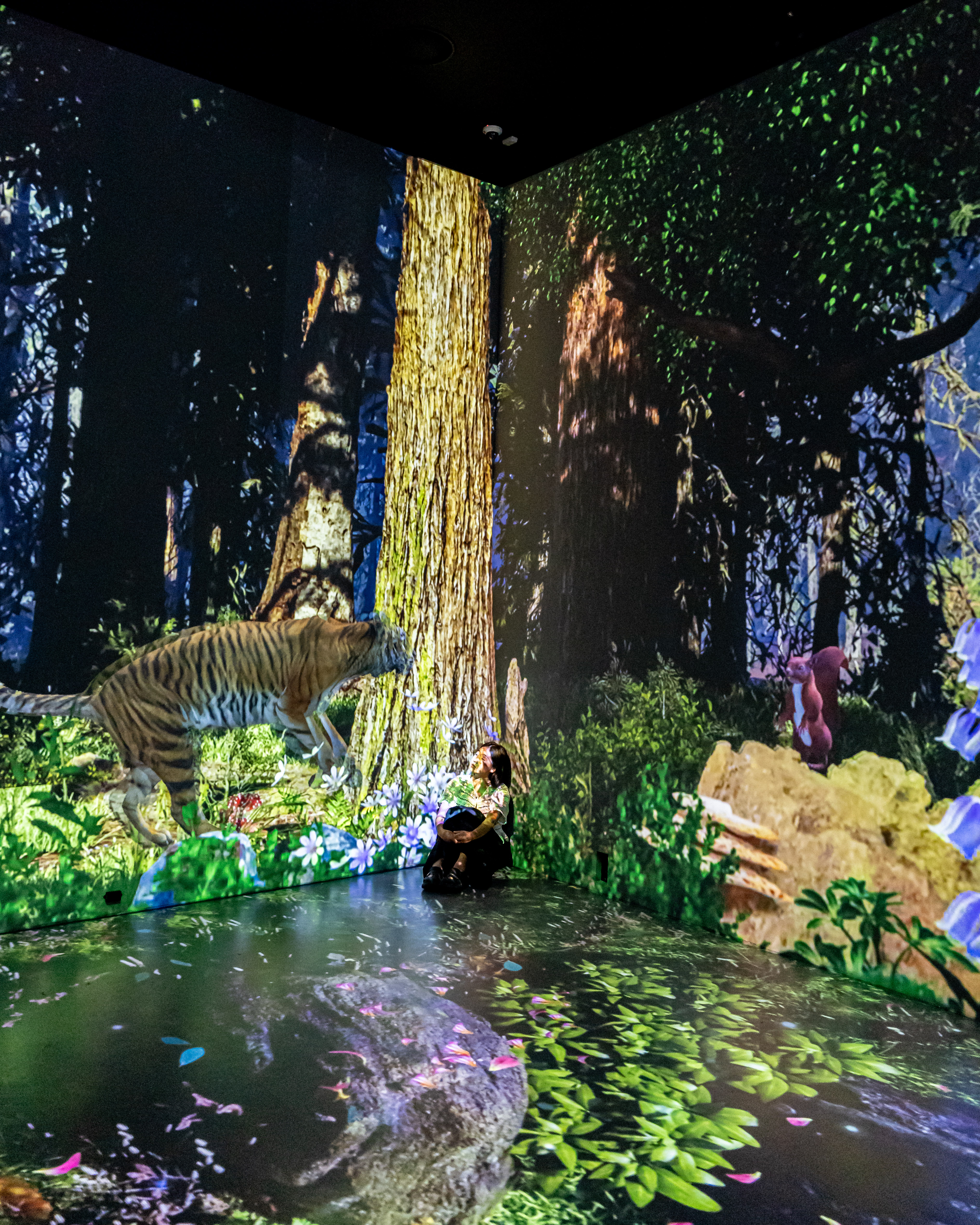 원더아일랜드 9