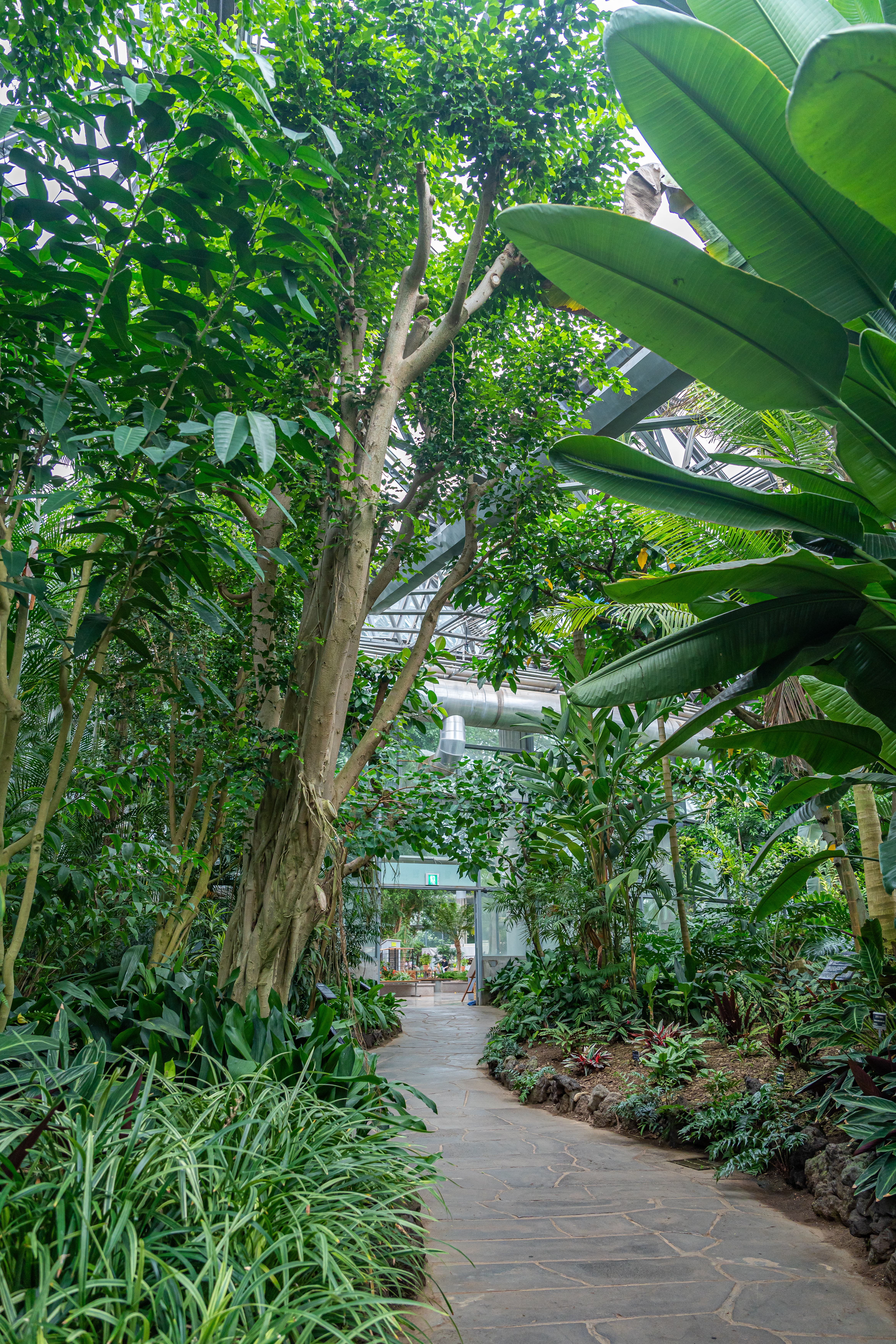 여미지식물원 13