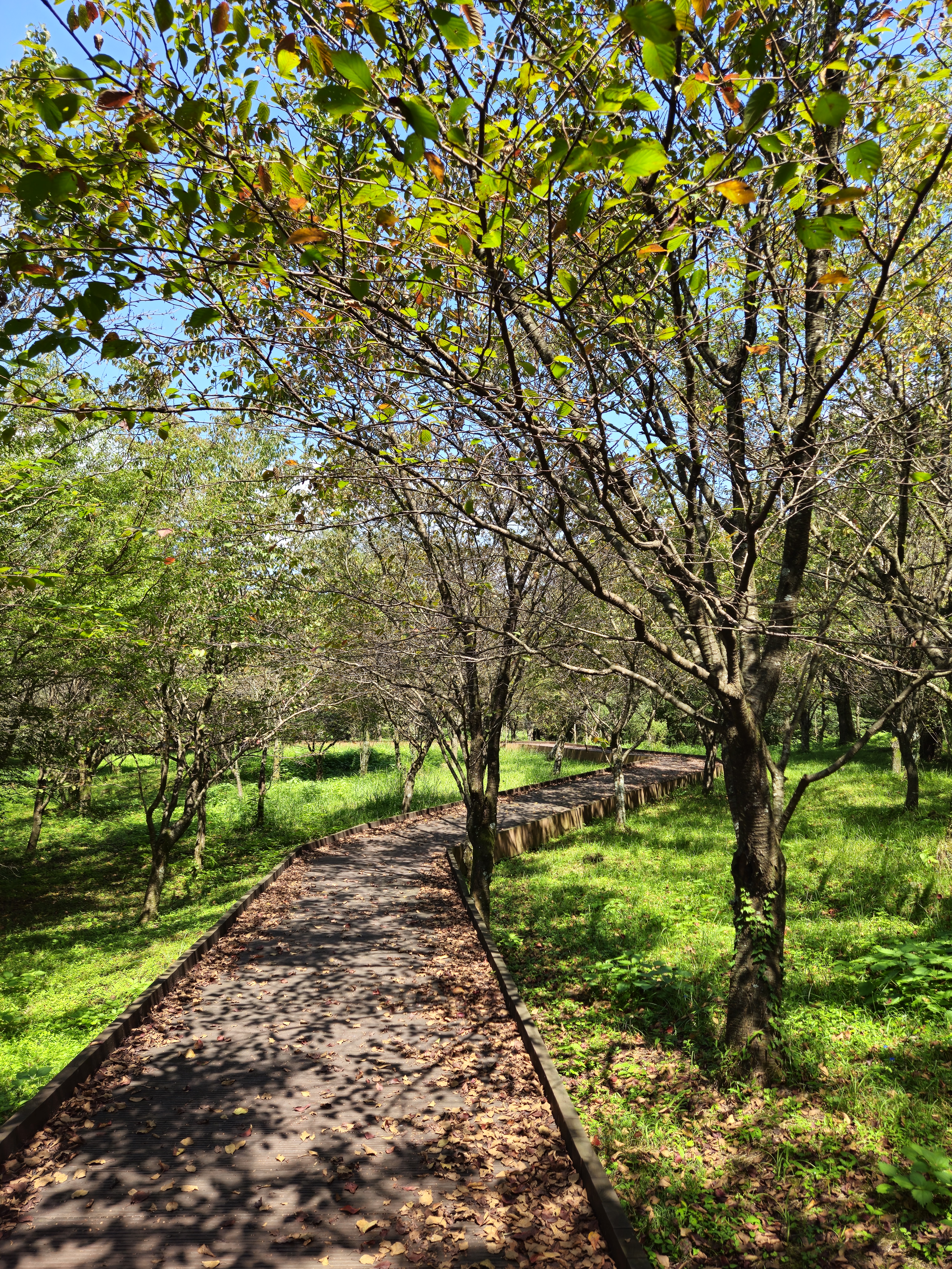 한라생태공원 3