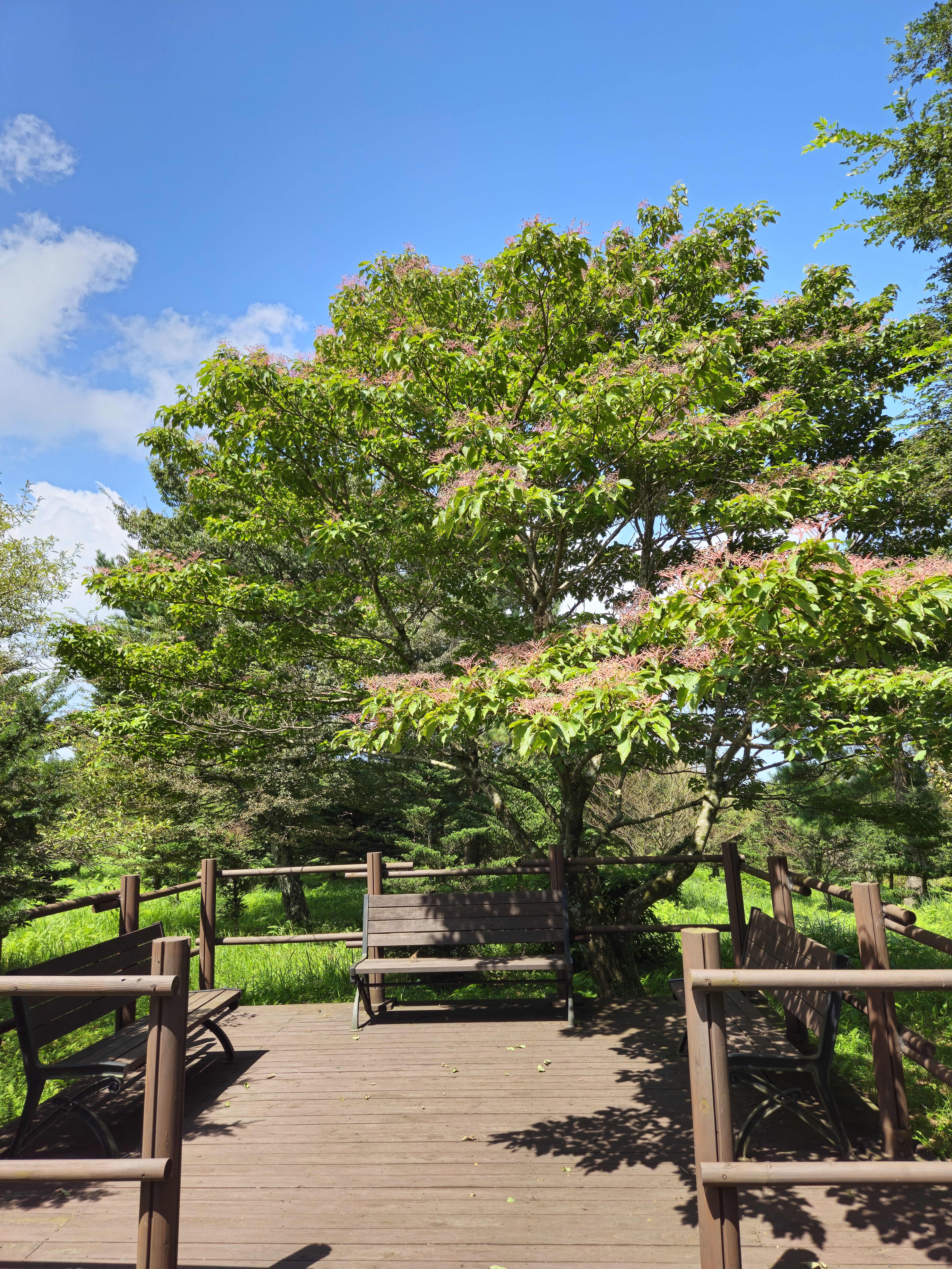 한라생태공원 4