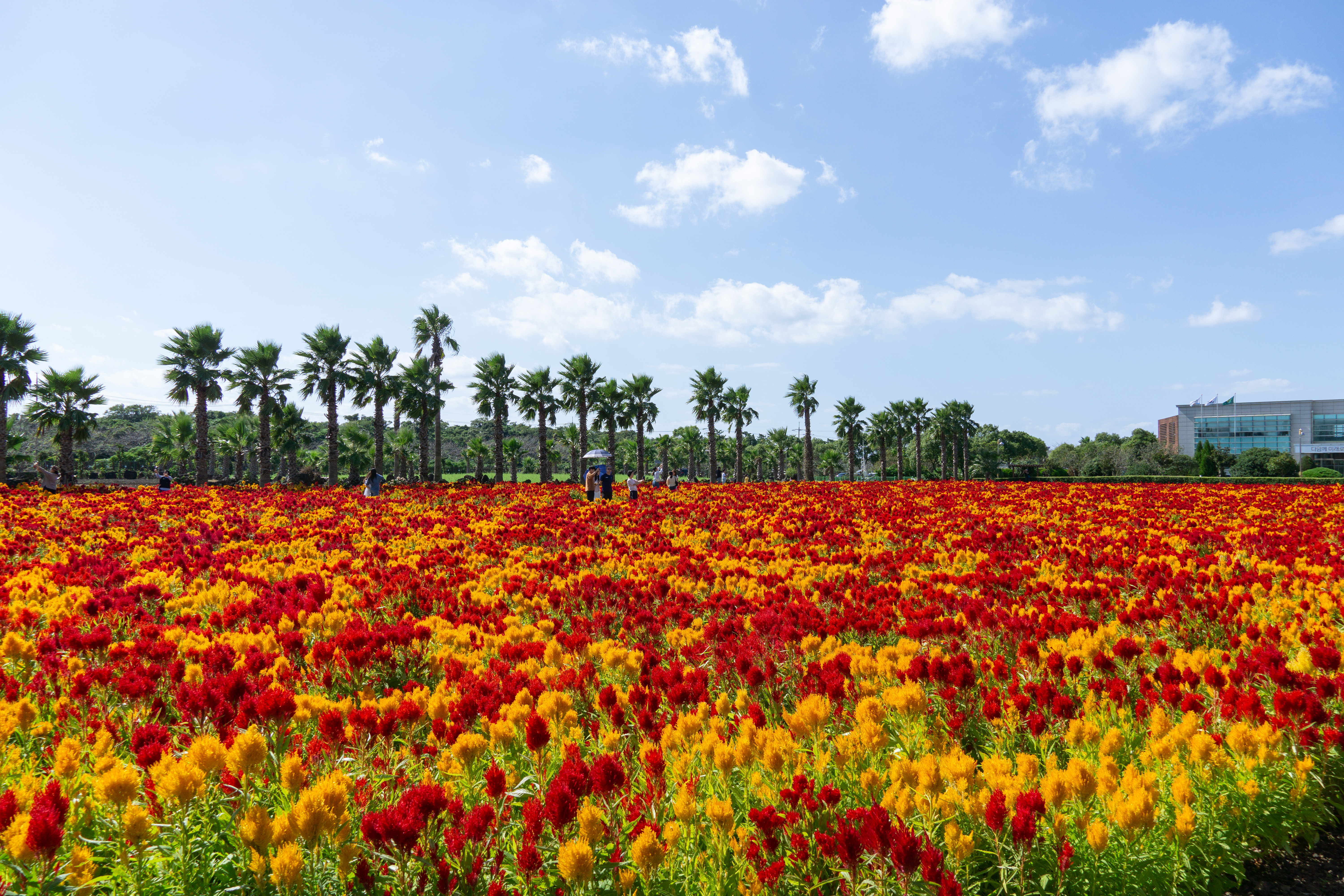 서부농업기술센터 1