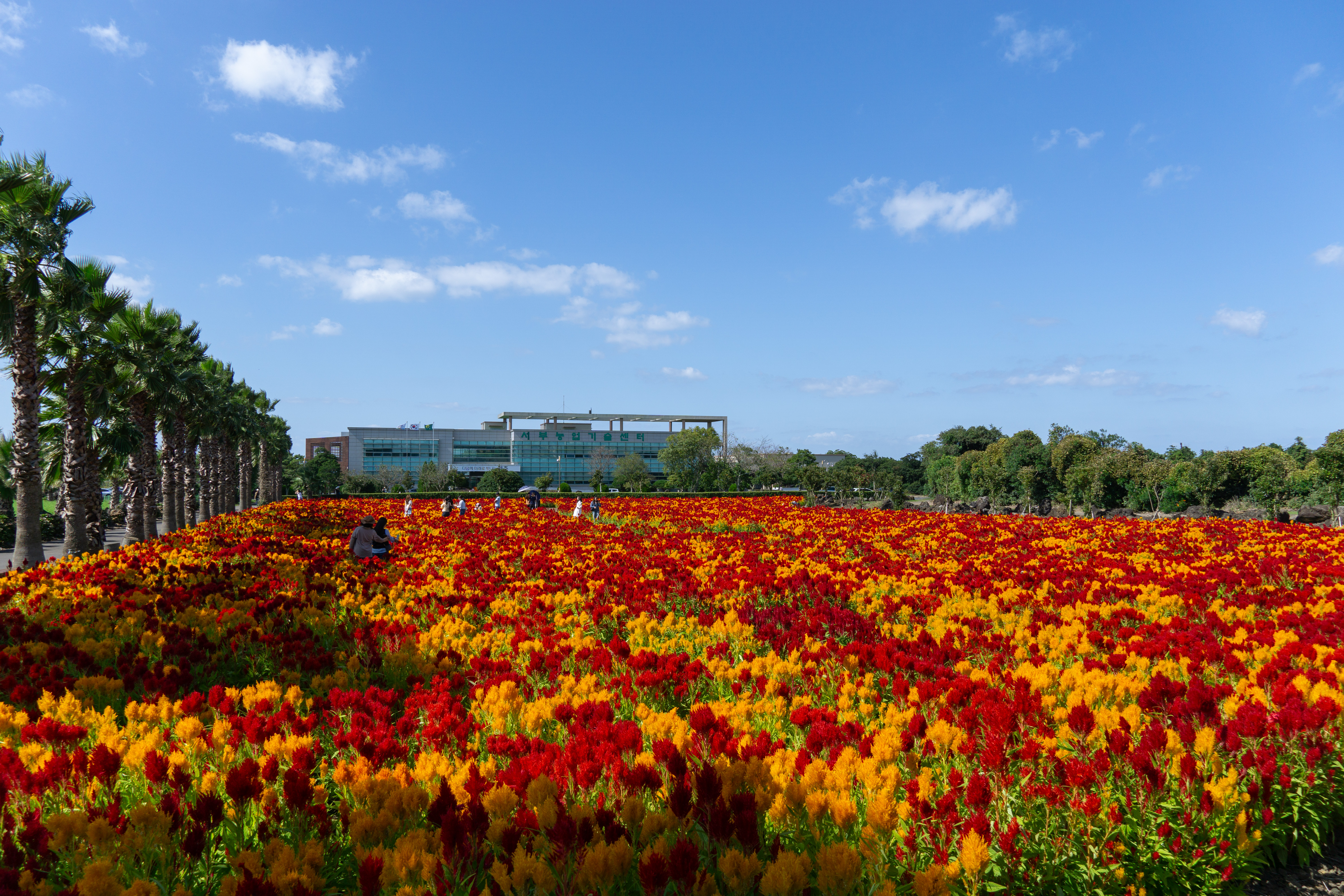 서부농업기술센터 2