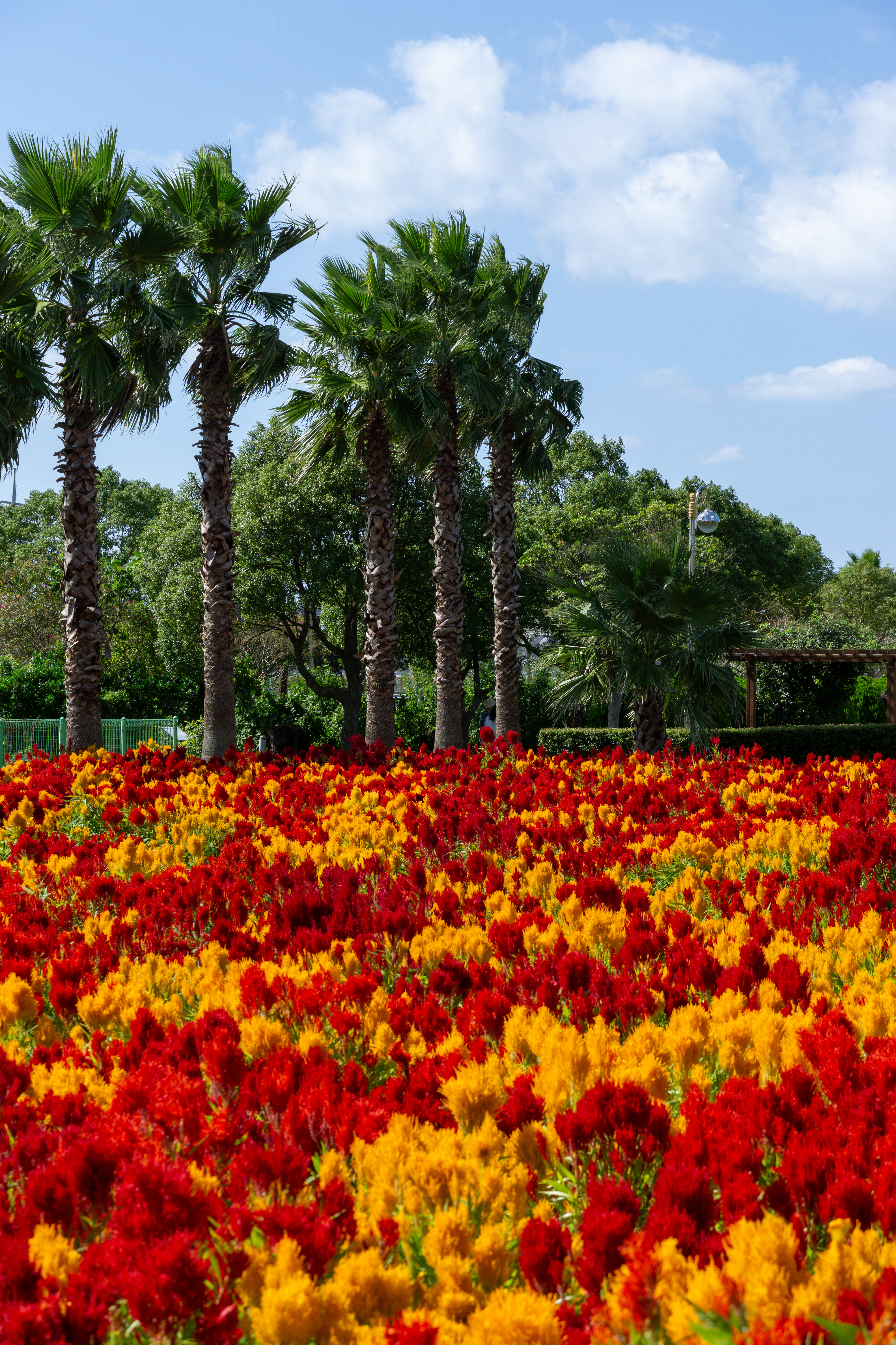 서부농업기술센터 3