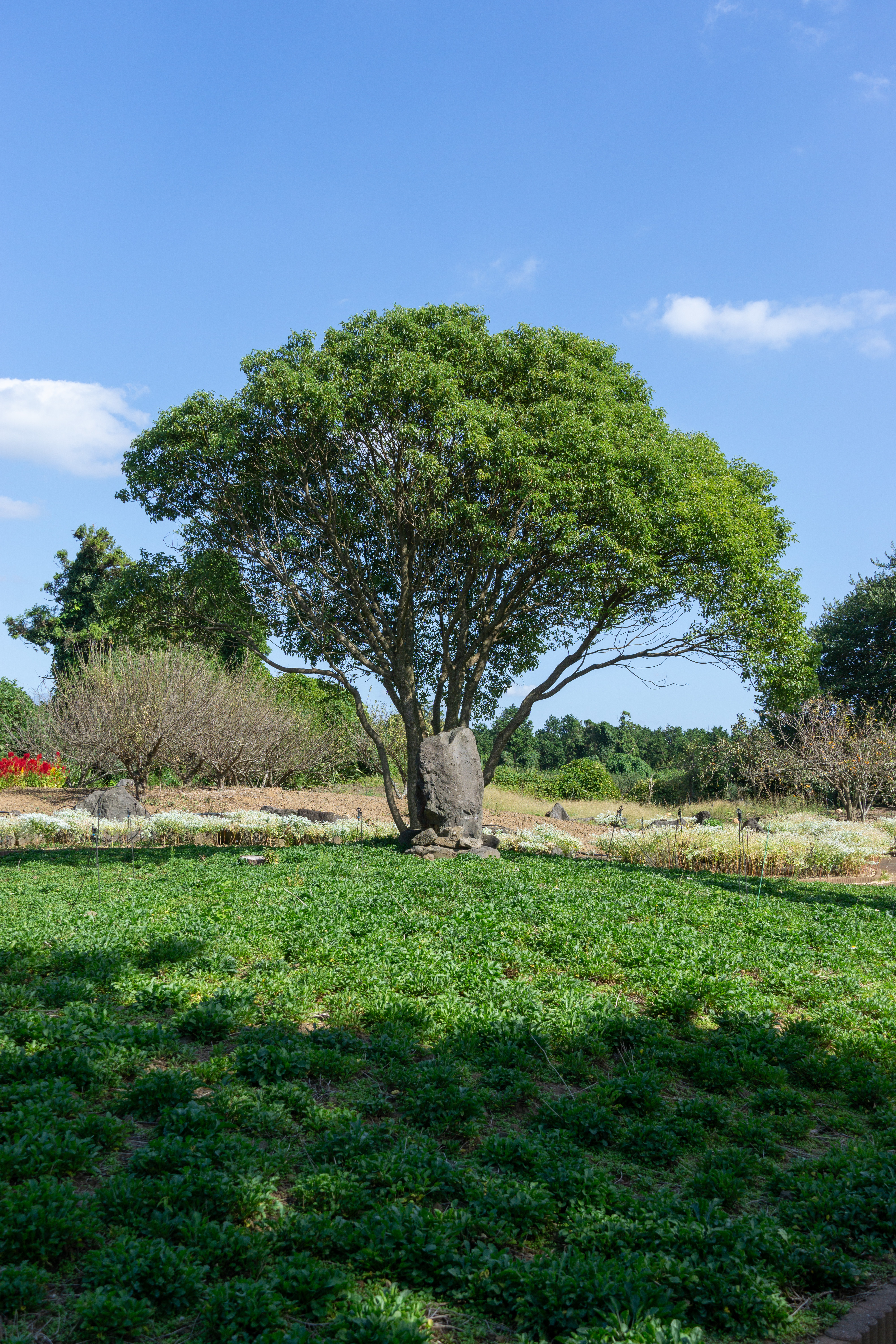서부농업기술센터 9