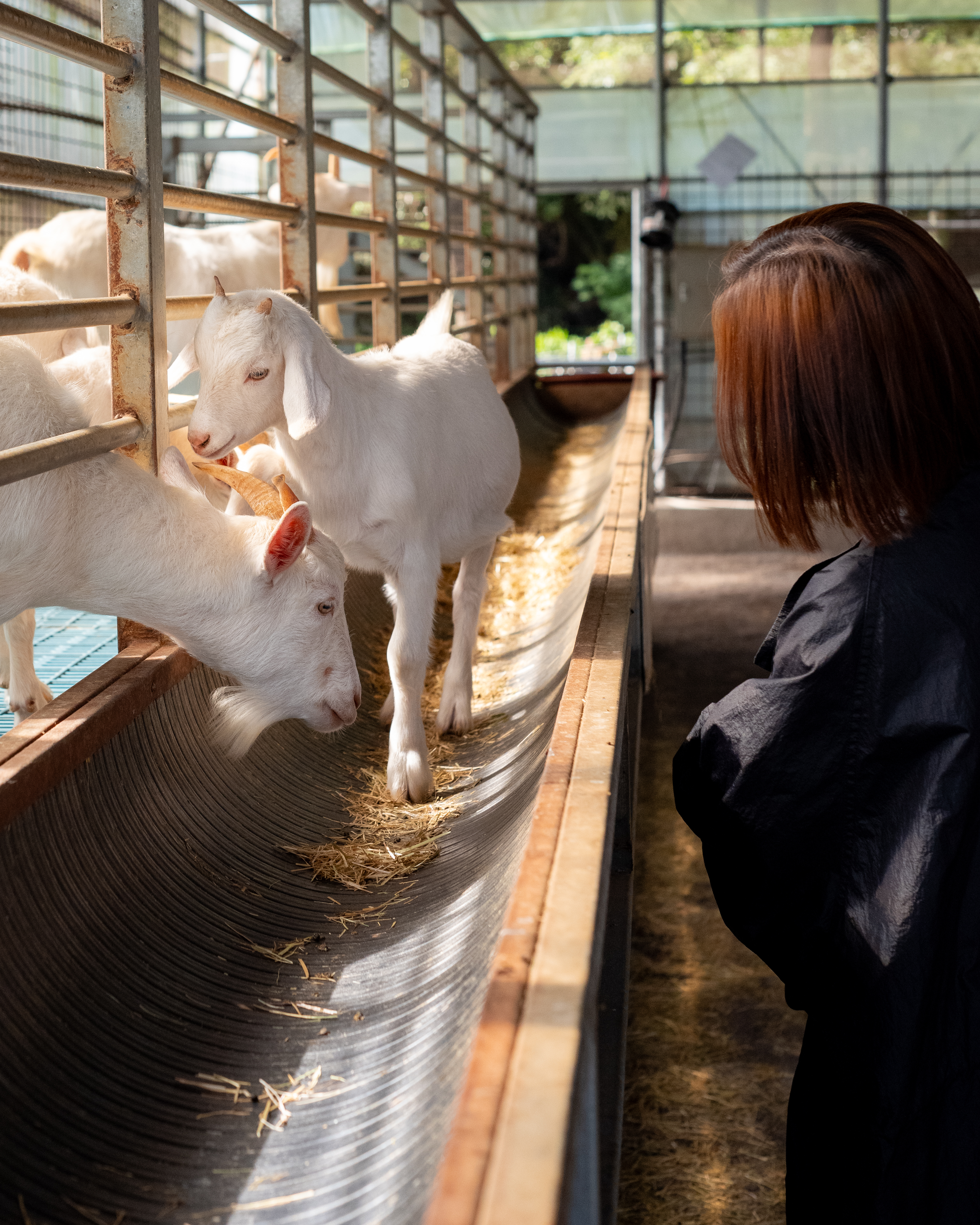 편백포레스트 4