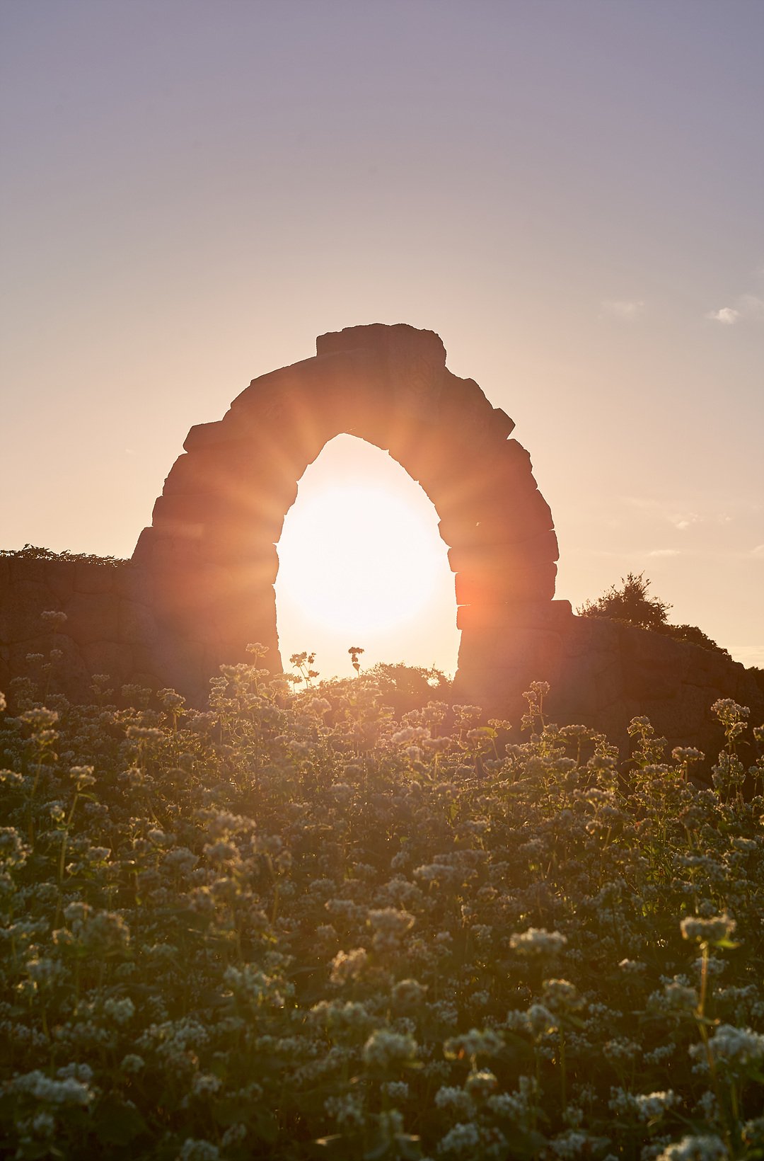 와흘메밀마을 9