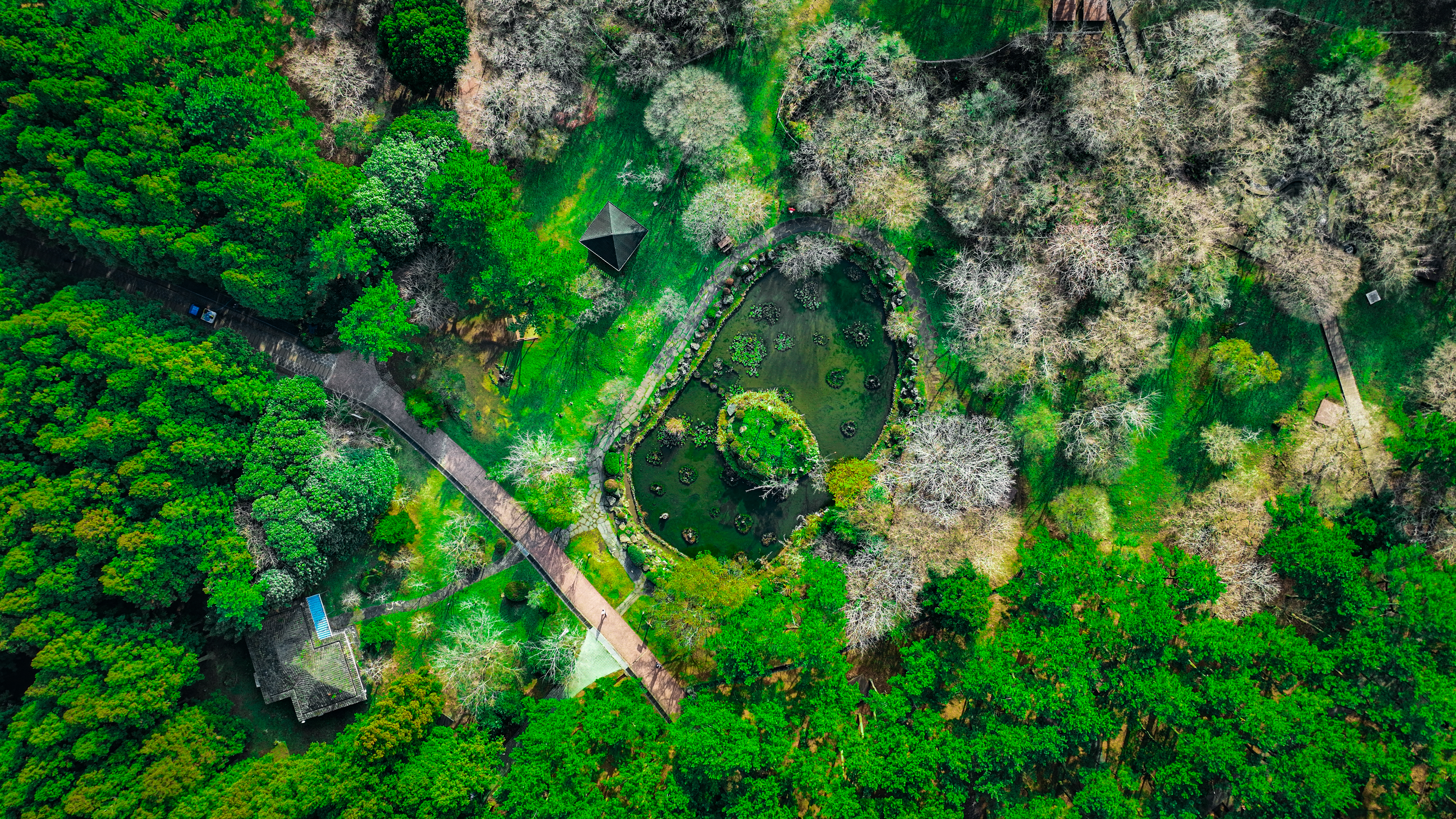 절물자연휴양림 12