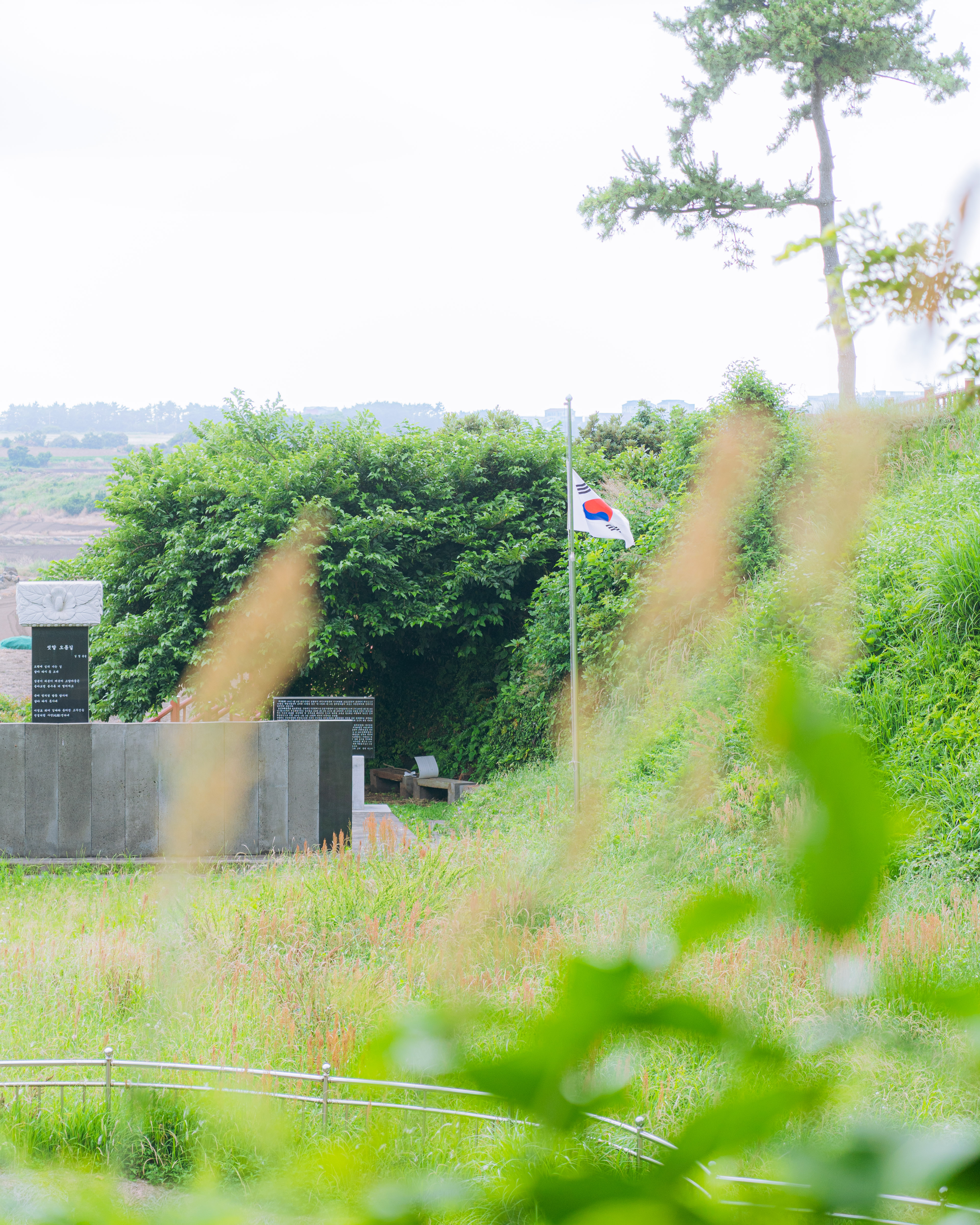 섯알오름학살터2