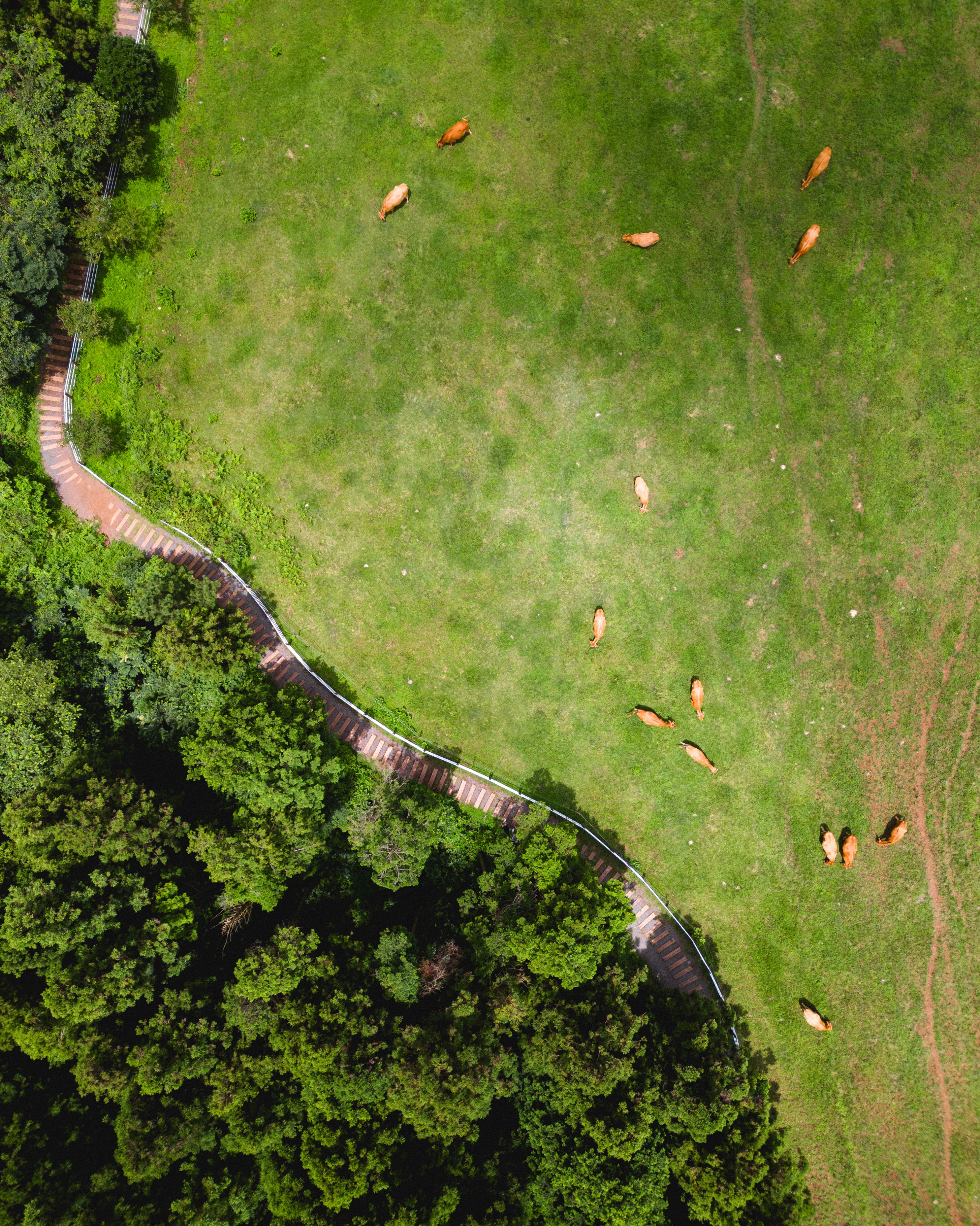 물영아리오름 2