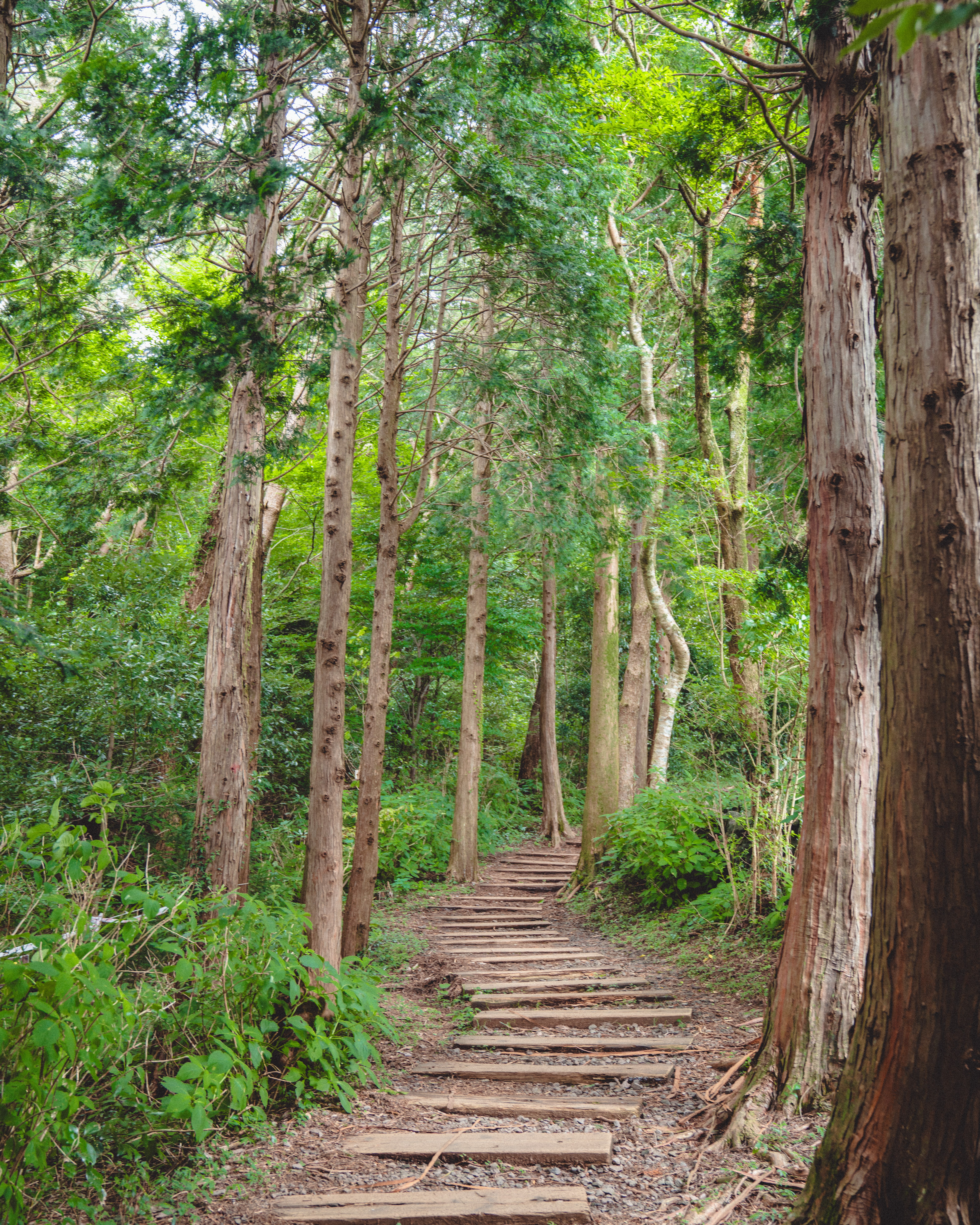 물영아리오름 9