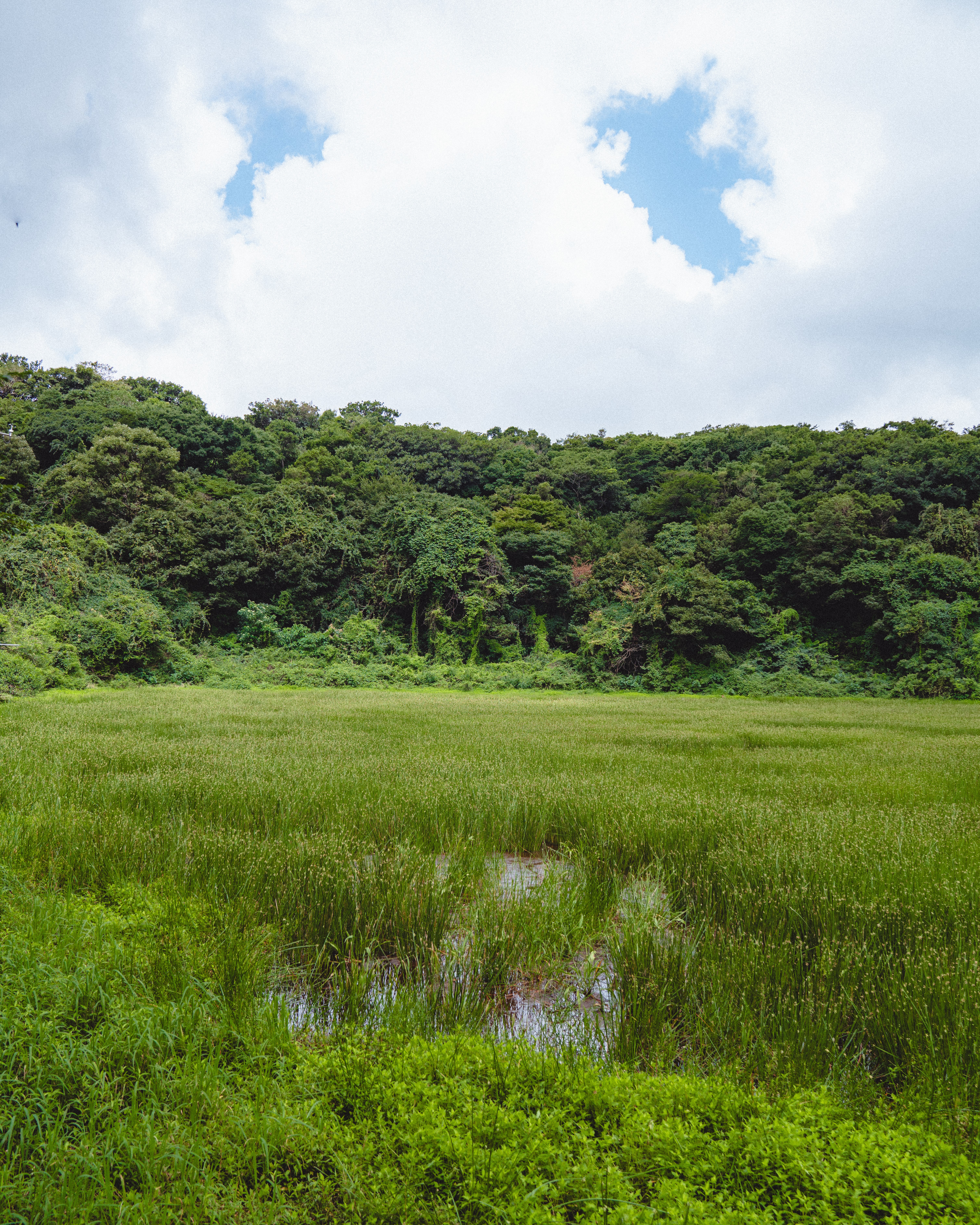 물영아리오름 12