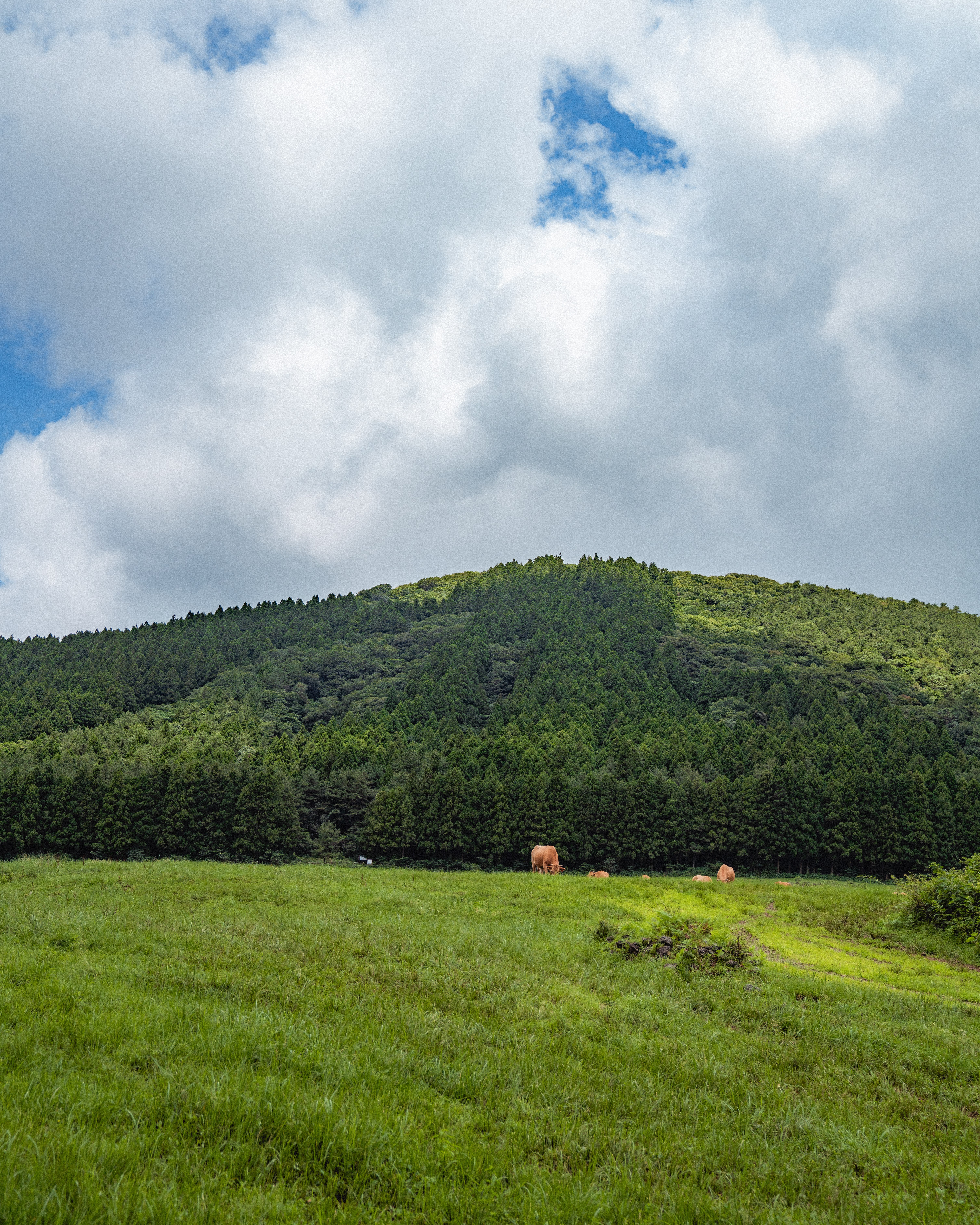 물영아리오름 13