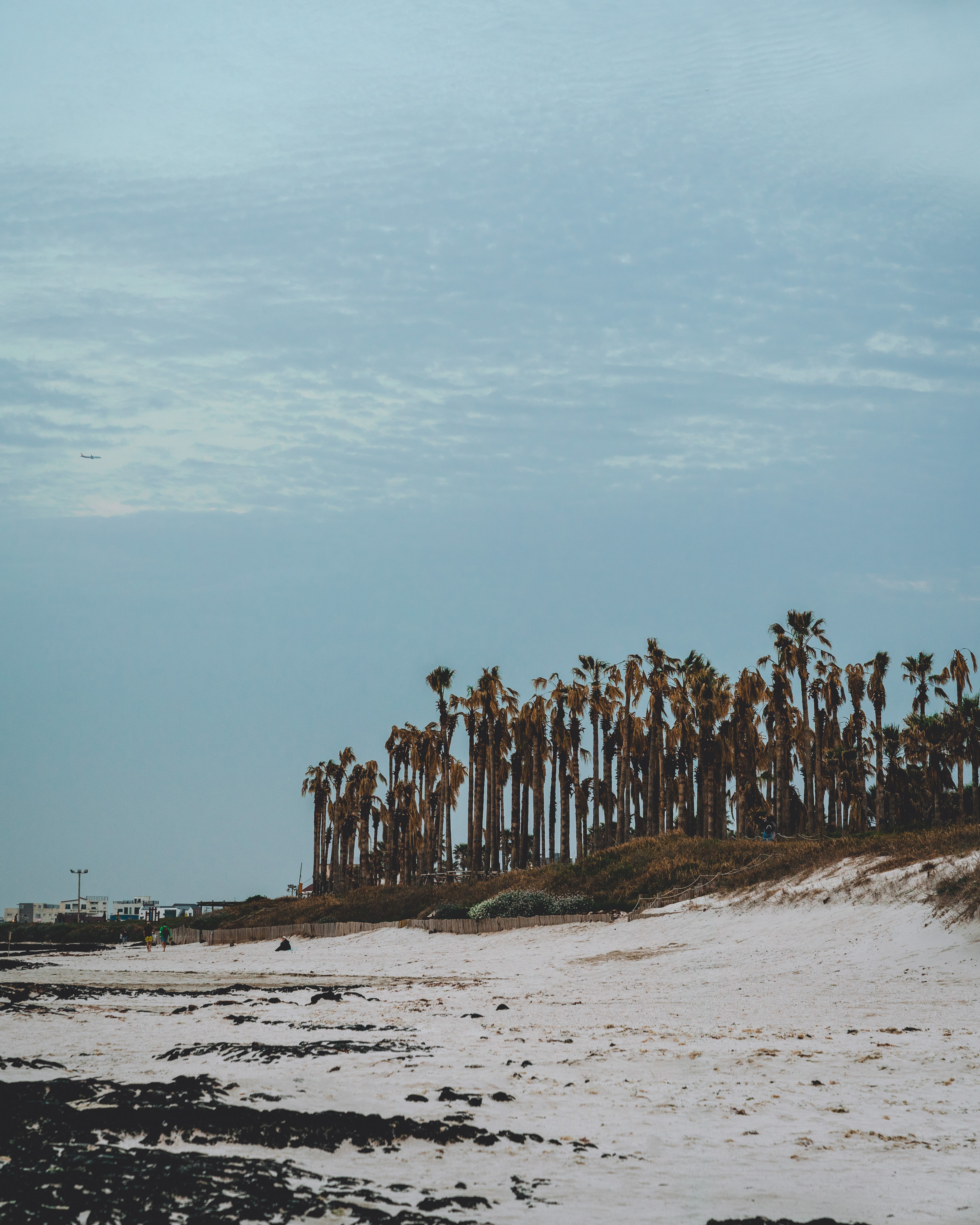 금능해수욕장 7