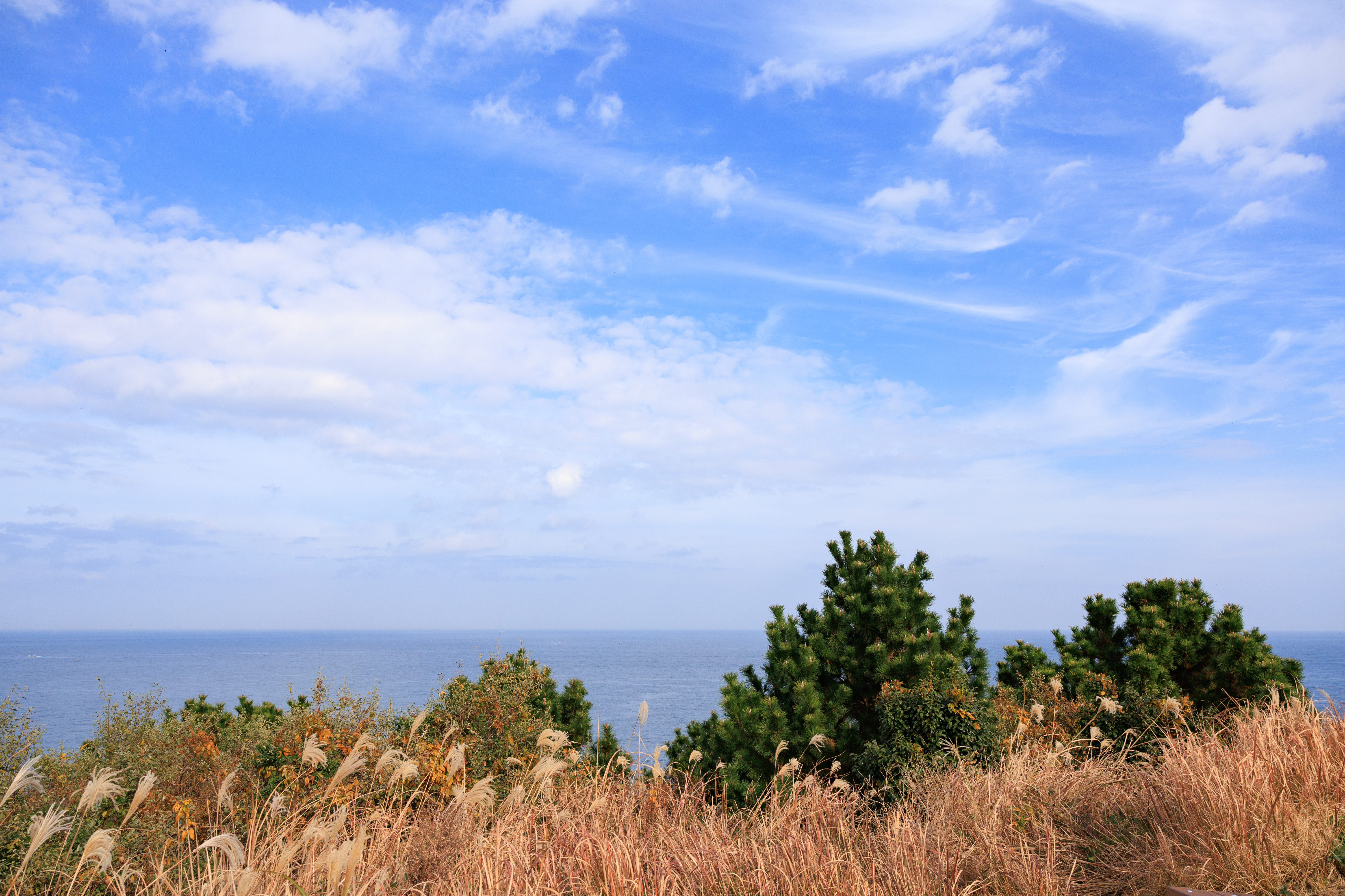 도두해안도로 및 도두봉 3