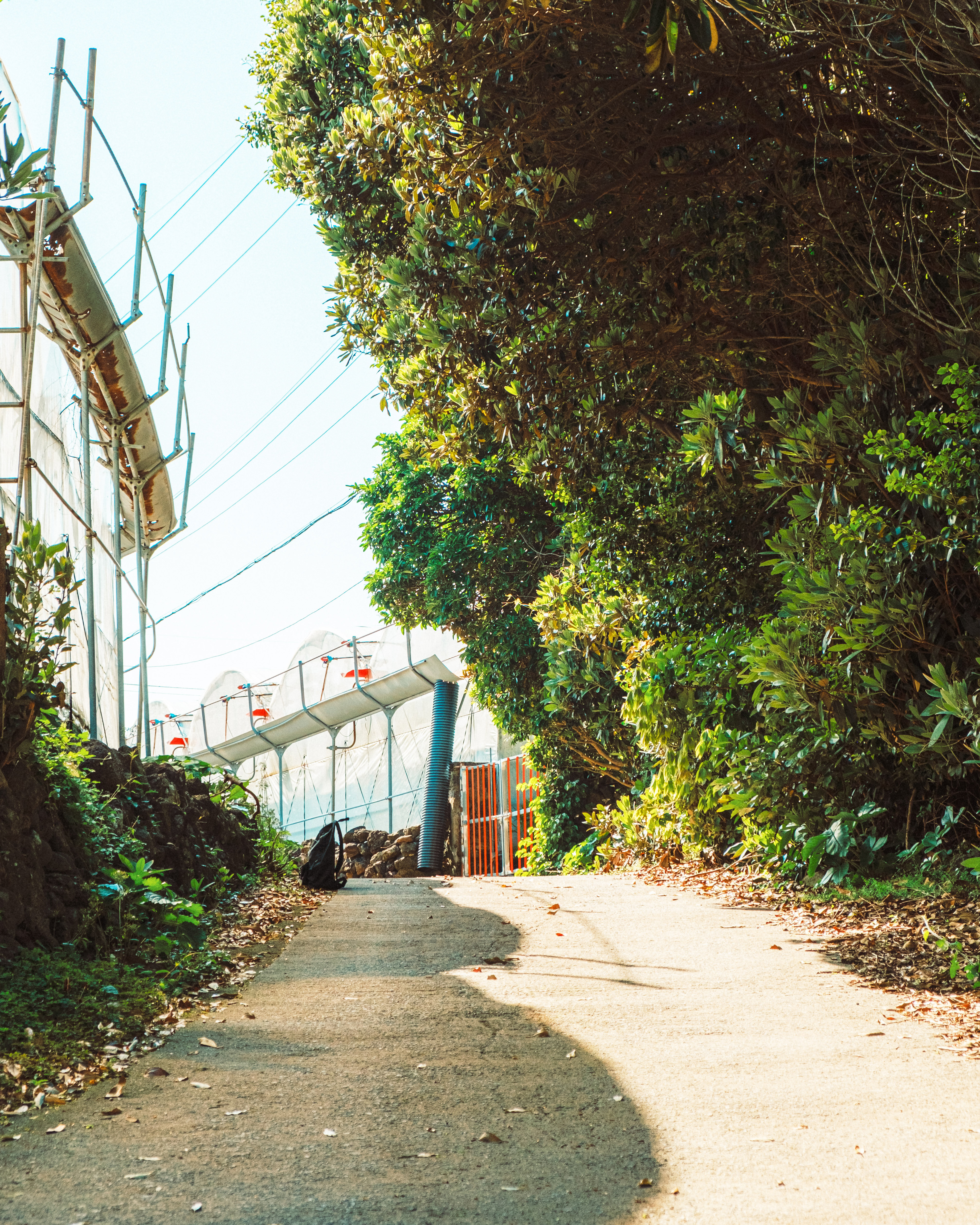 위미리나무터널2